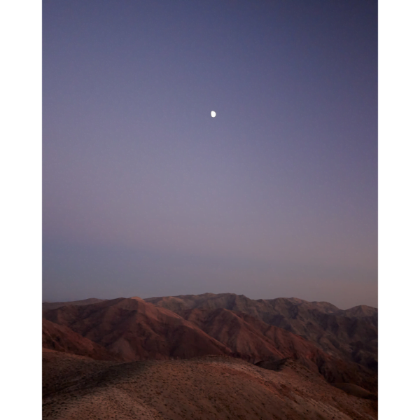 desert moon