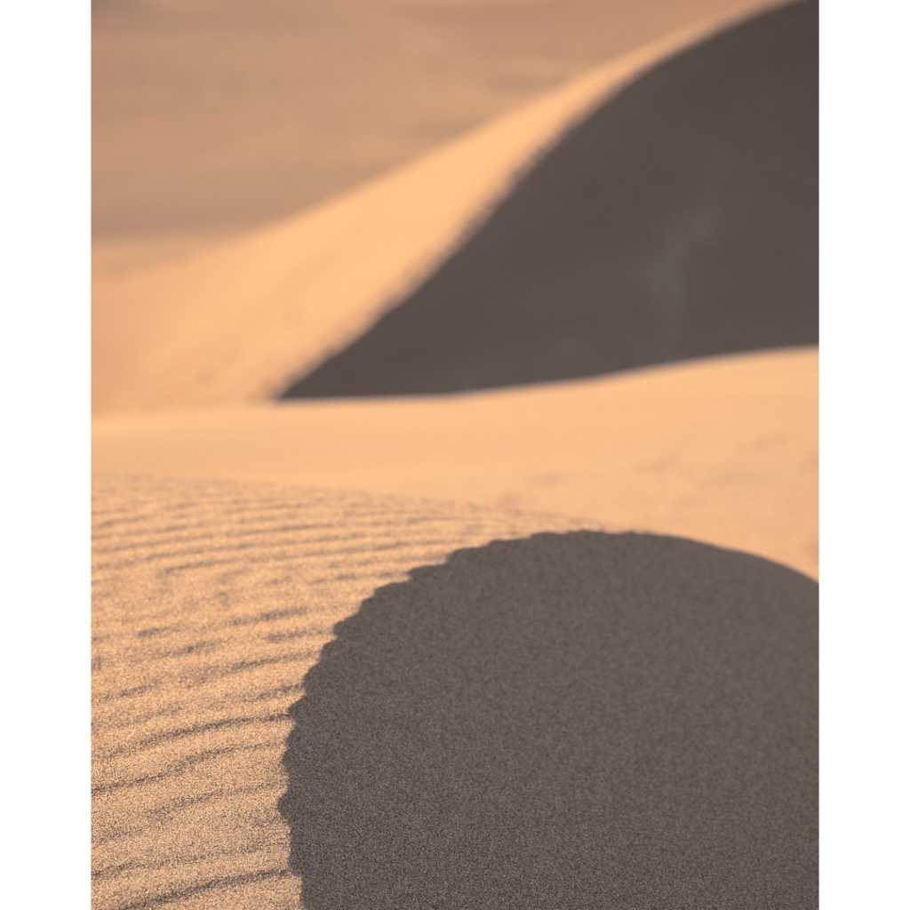 light and shadow